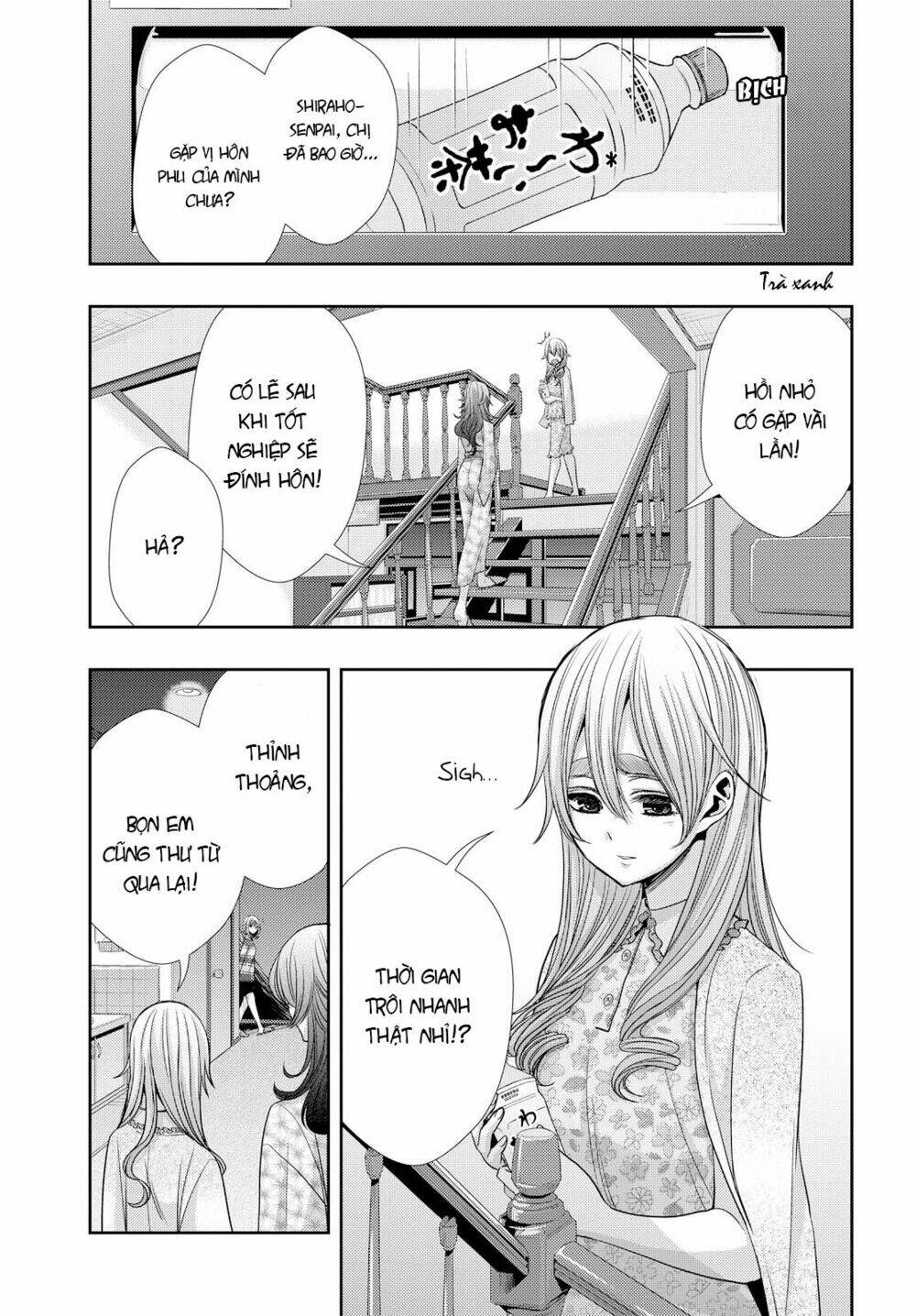 citrus-saburouta/3