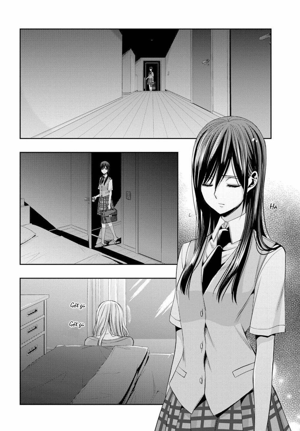 citrus-saburouta/18