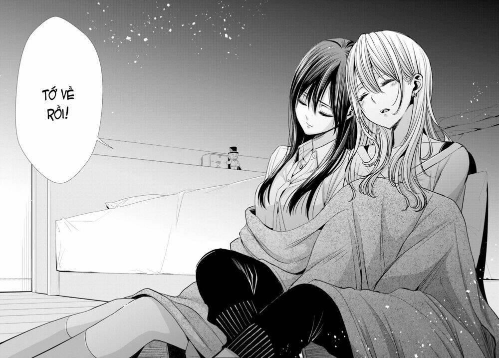 citrus-saburouta/20