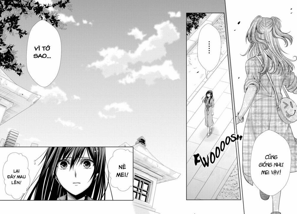 citrus-saburouta/29