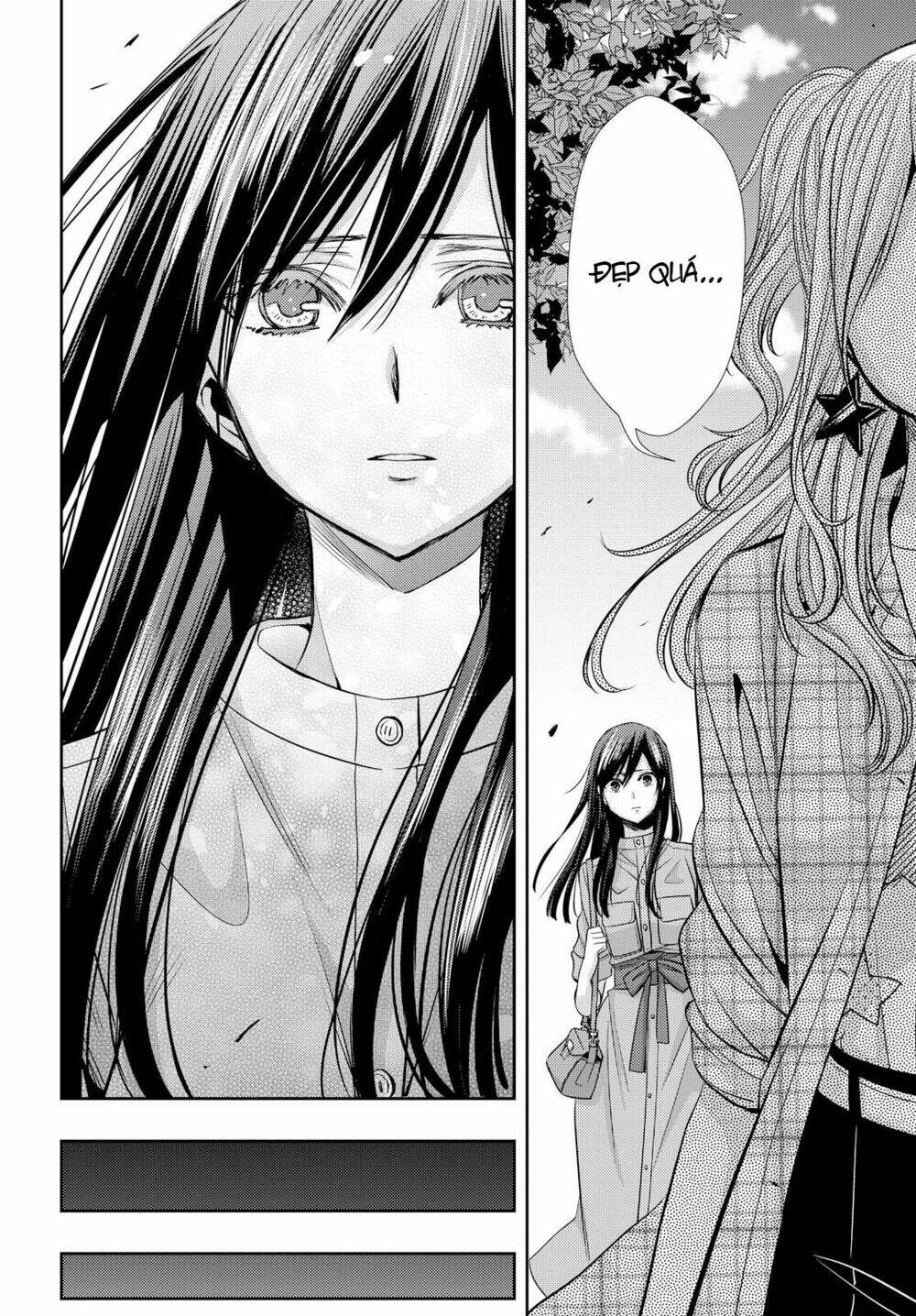 citrus-saburouta/30