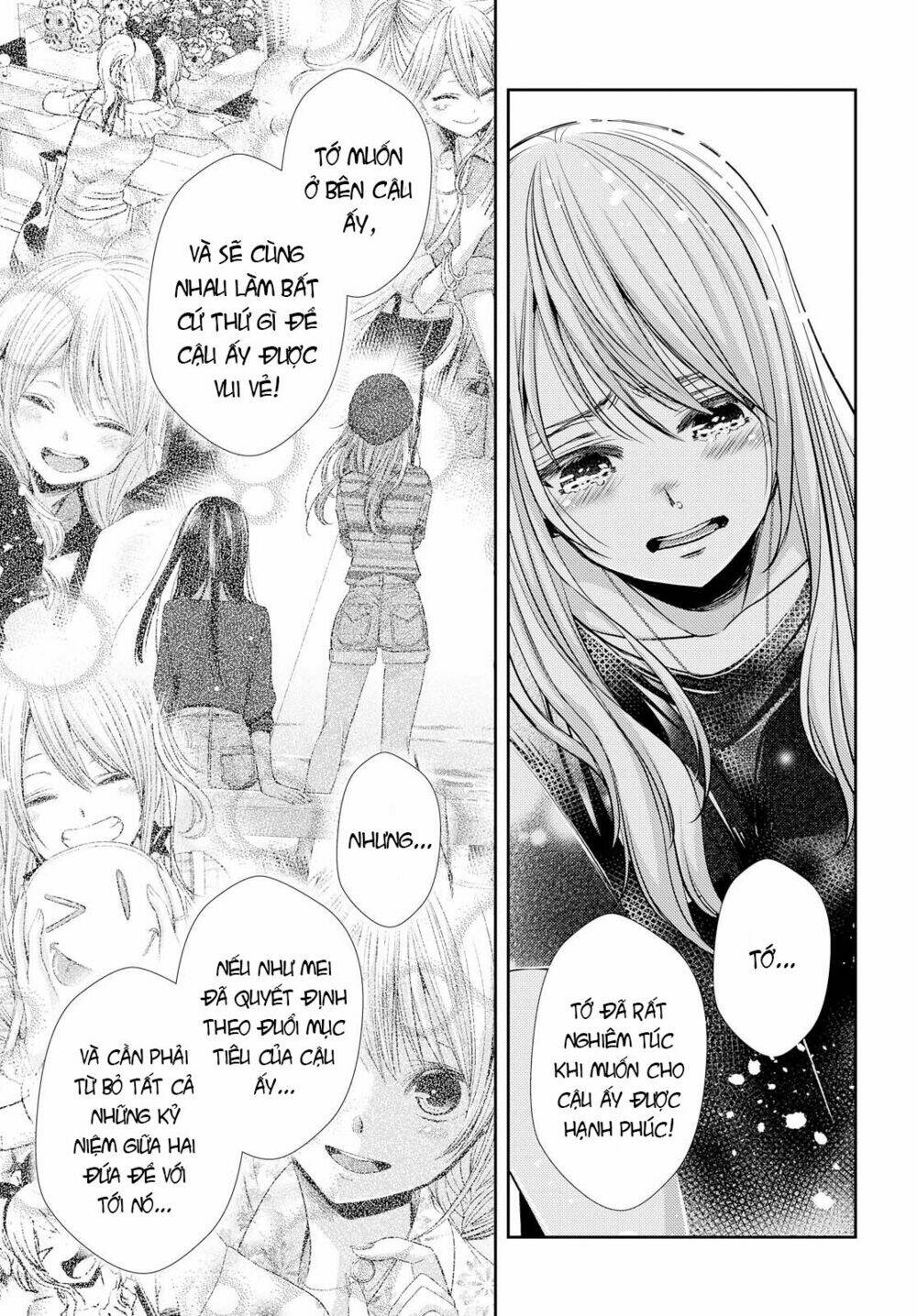 citrus-saburouta/29