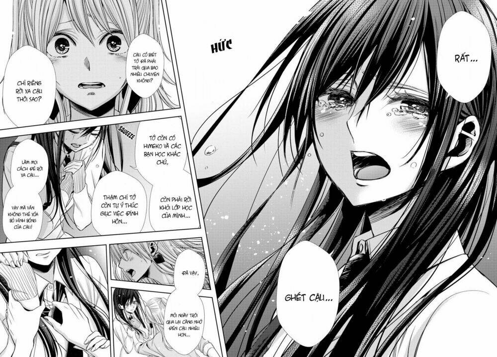 citrus-saburouta/14