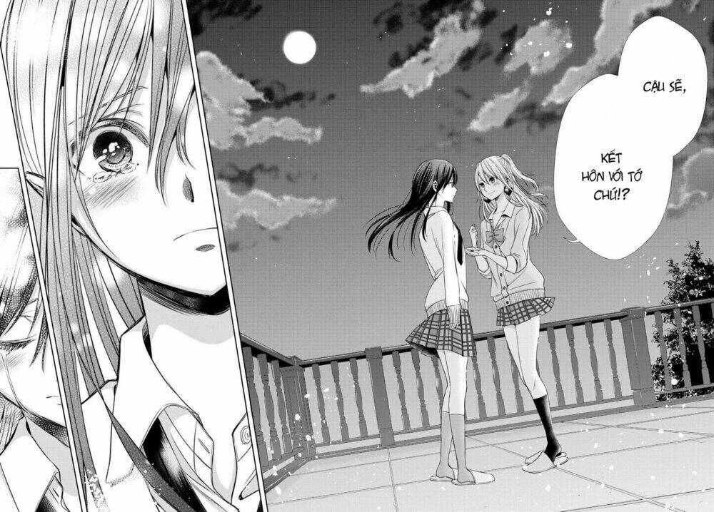 citrus-saburouta/19