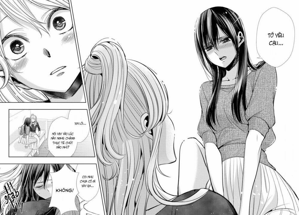 citrus-saburouta/26