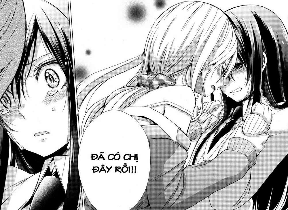 citrus-saburouta/17