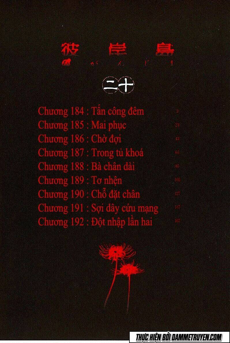 dao-ma-ca-rong/4