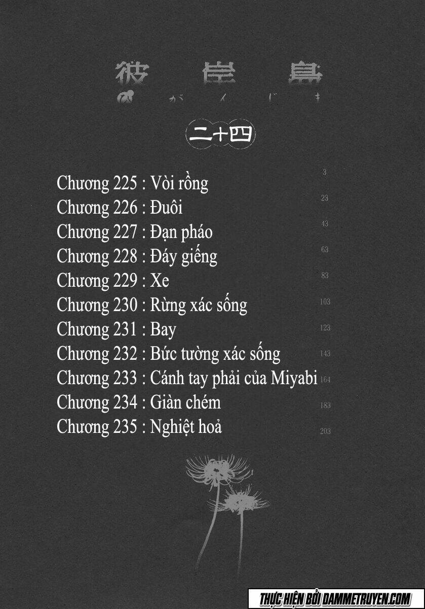 dao-ma-ca-rong/5