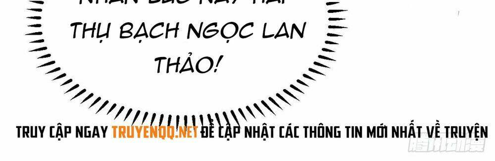 dinh-cap-vo-hon/31