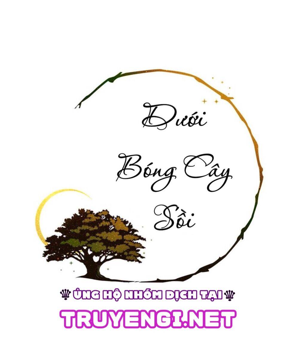 duoi-bong-cay-soi/0