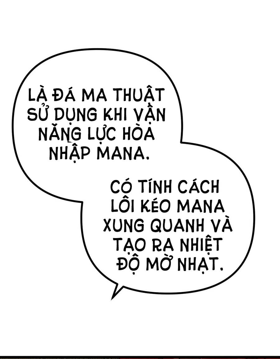 duoi-bong-cay-soi/91