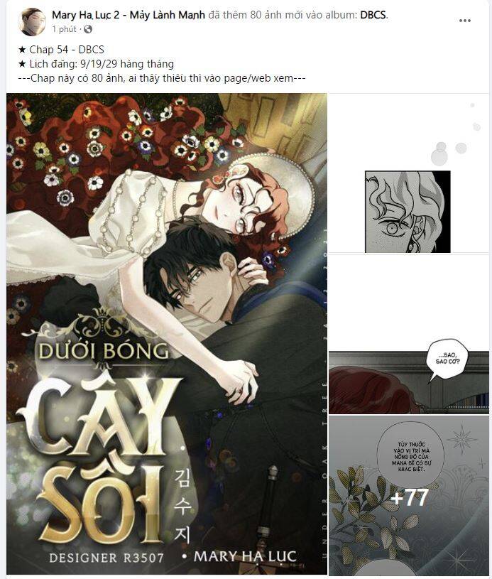 duoi-bong-cay-soi/0