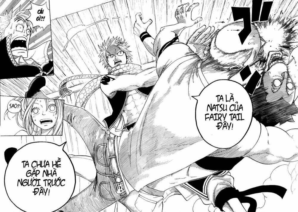 fairy-tail/49