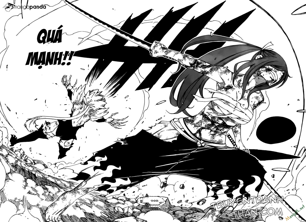 fairy-tail/12