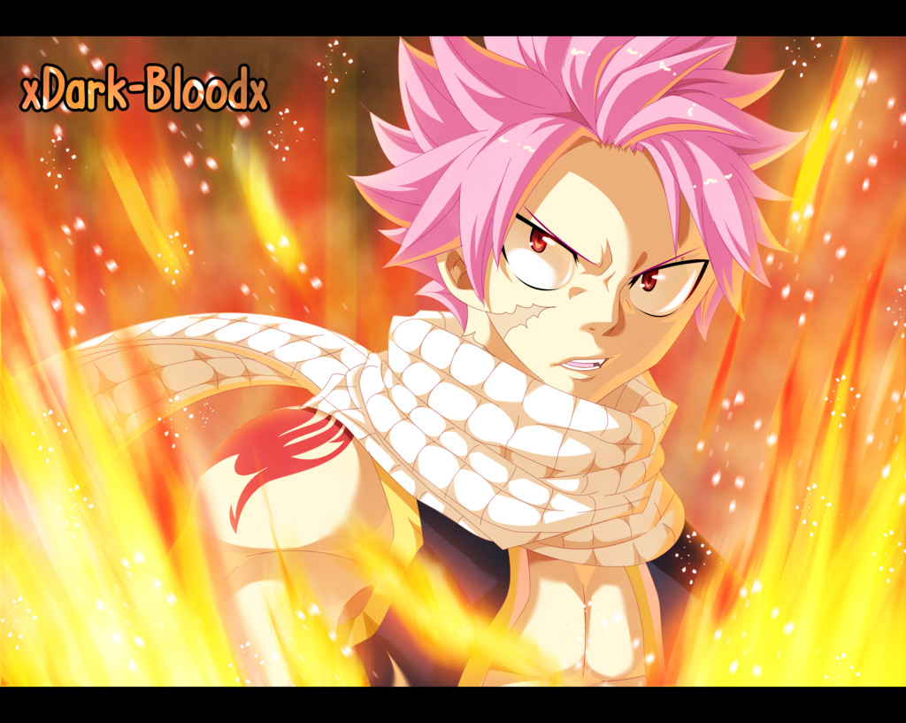 fairy-tail/23