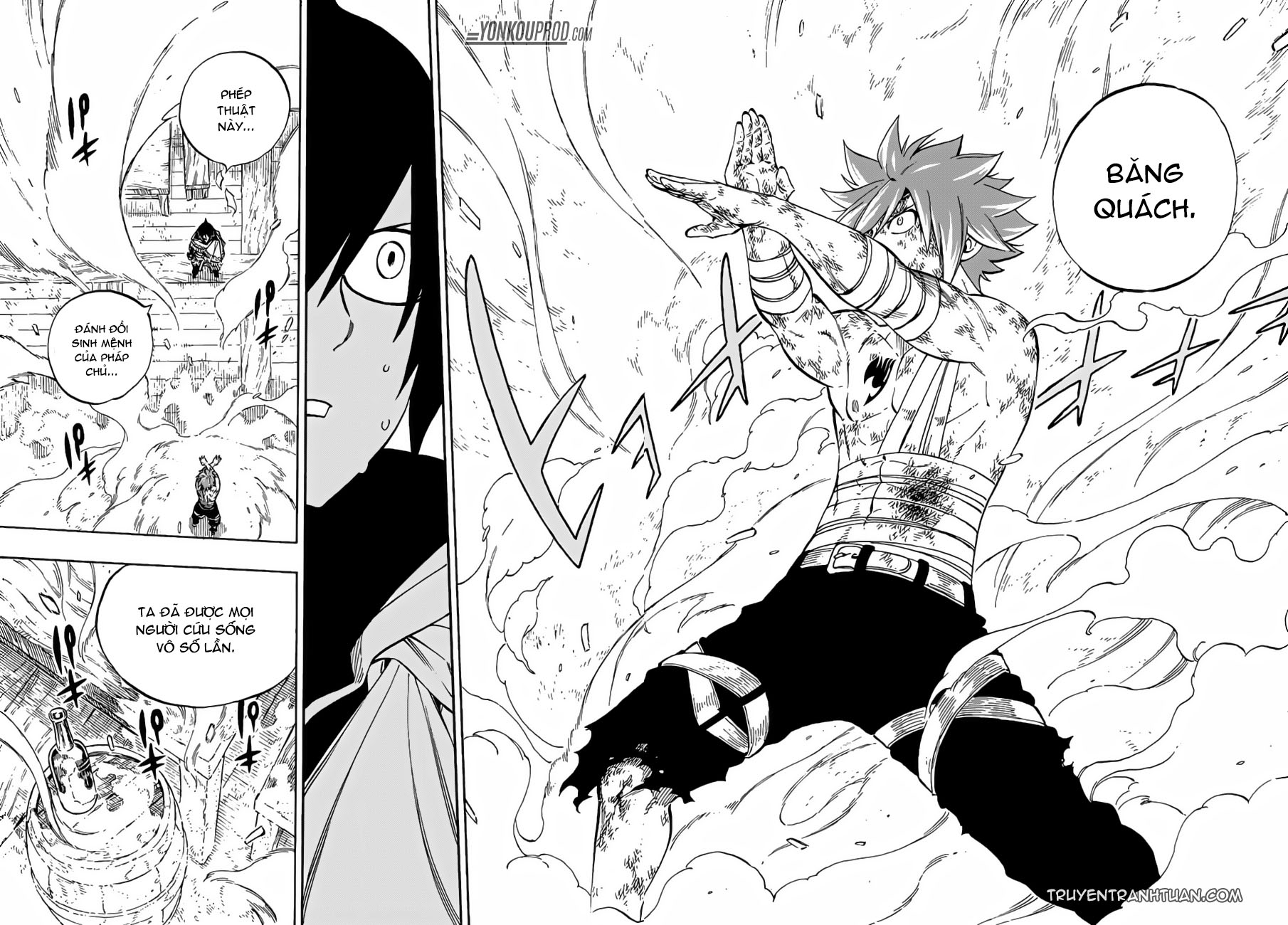 fairy-tail/25