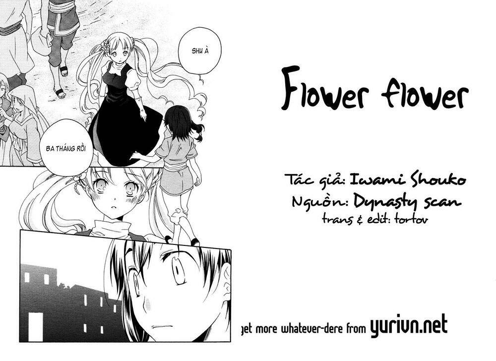 flower-flower/28