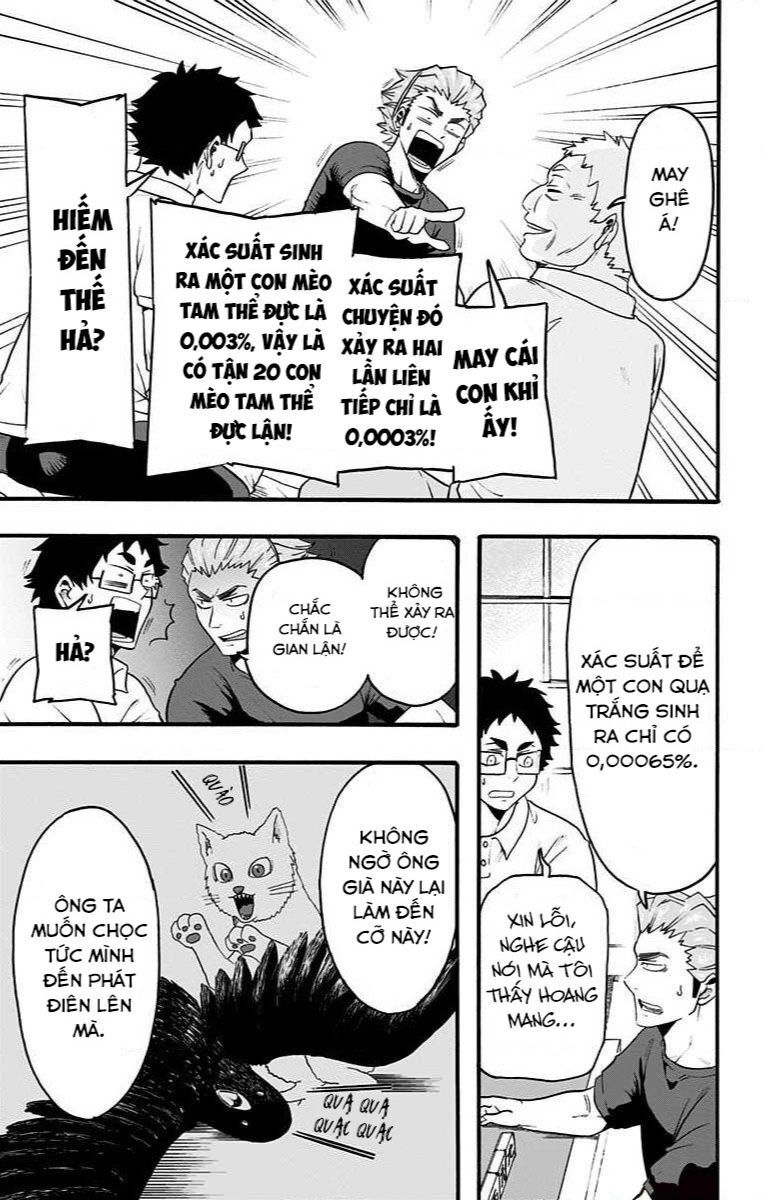 haikyuu-bu/10