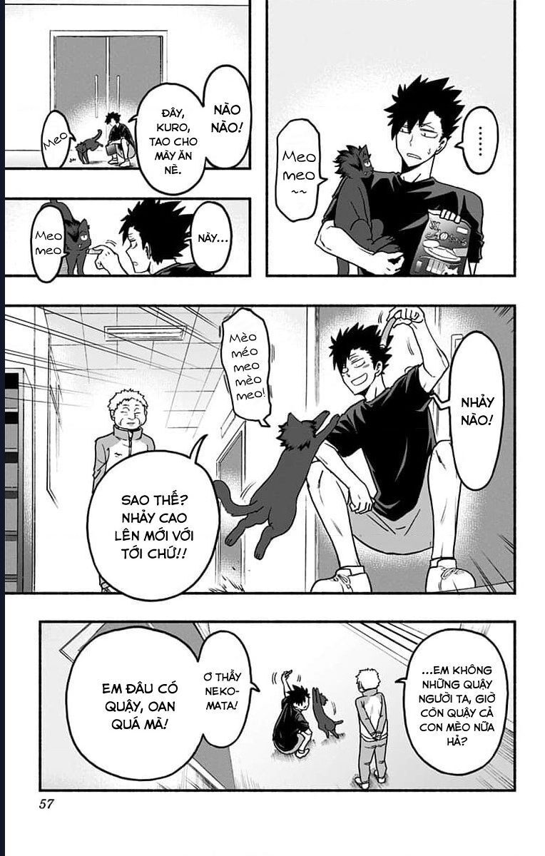 haikyuu-bu/5