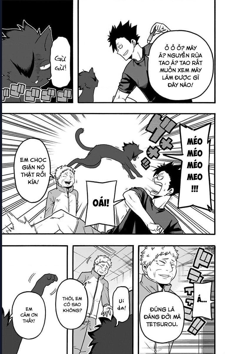 haikyuu-bu/7