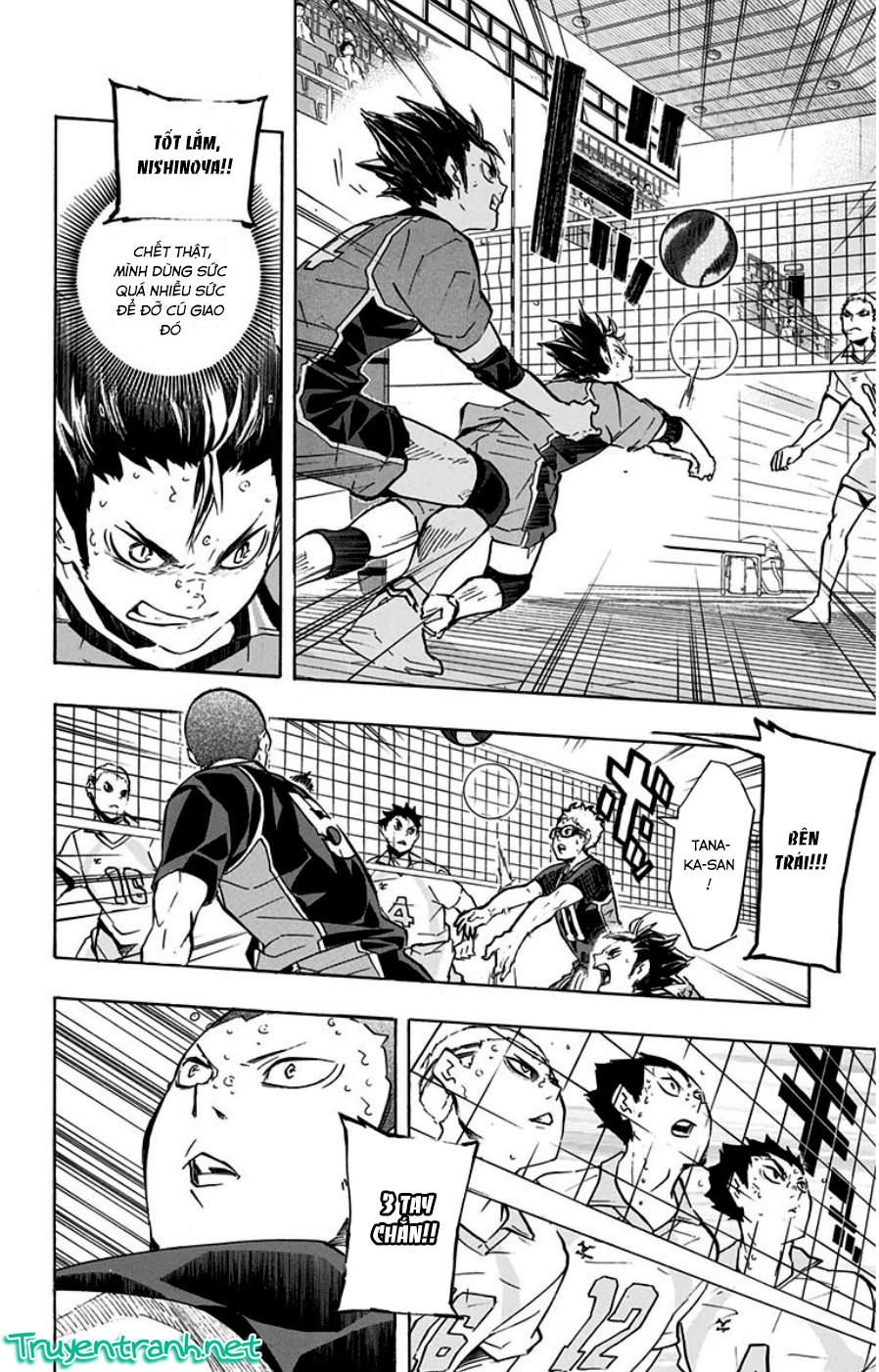 haikyuu/7