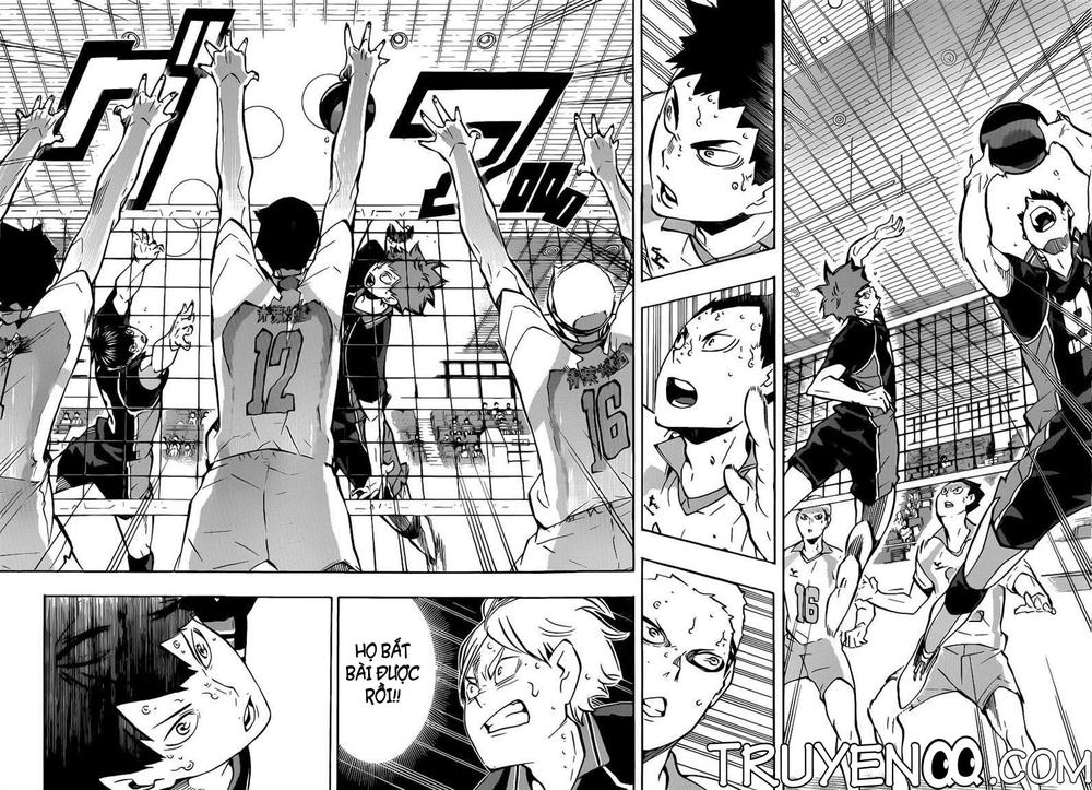 haikyuu/7