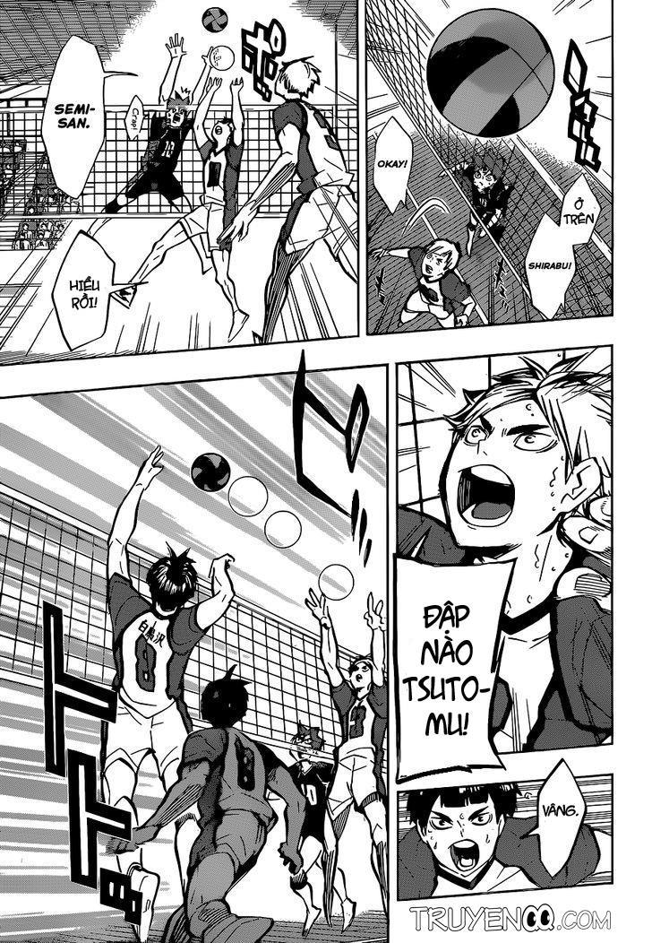 haikyuu/7