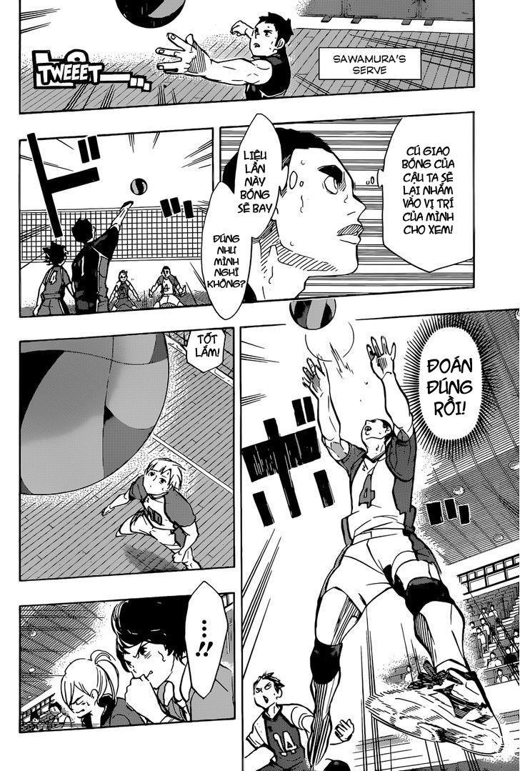 haikyuu/11