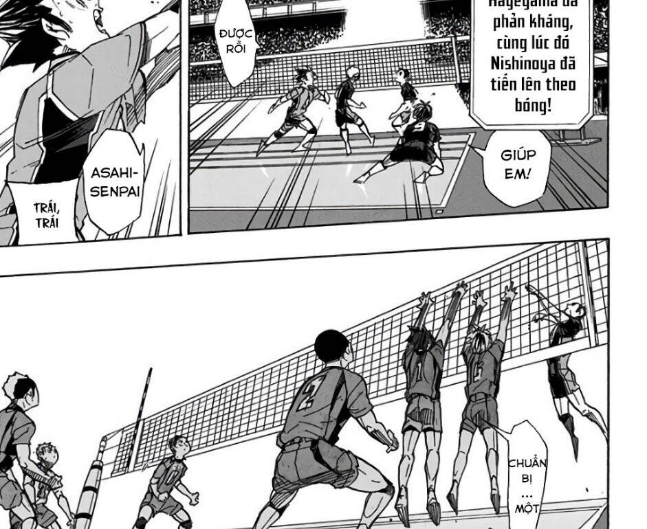 haikyuu/11