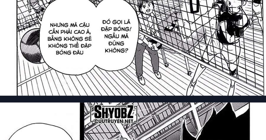 haikyuu/31