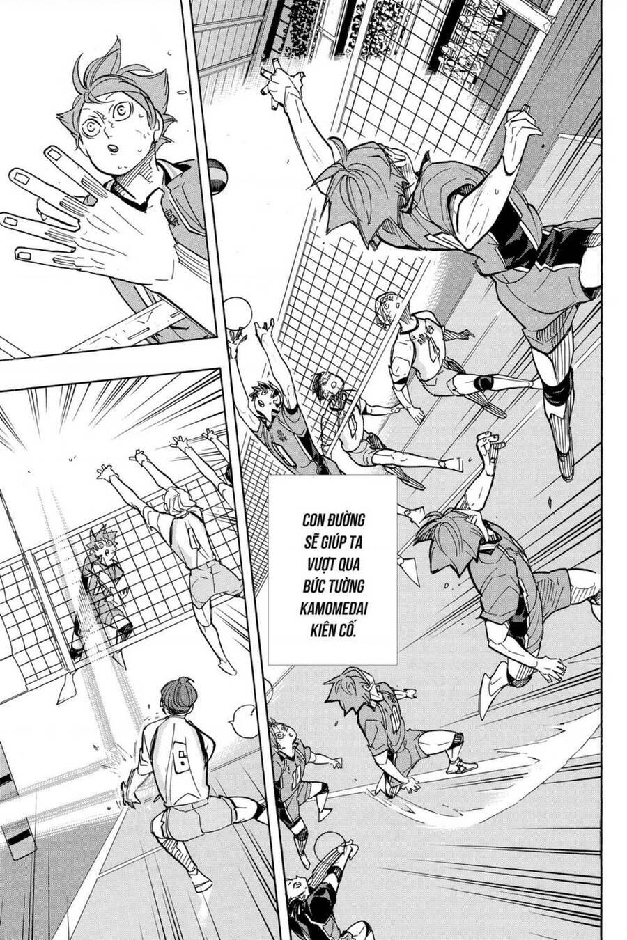 haikyuu/7