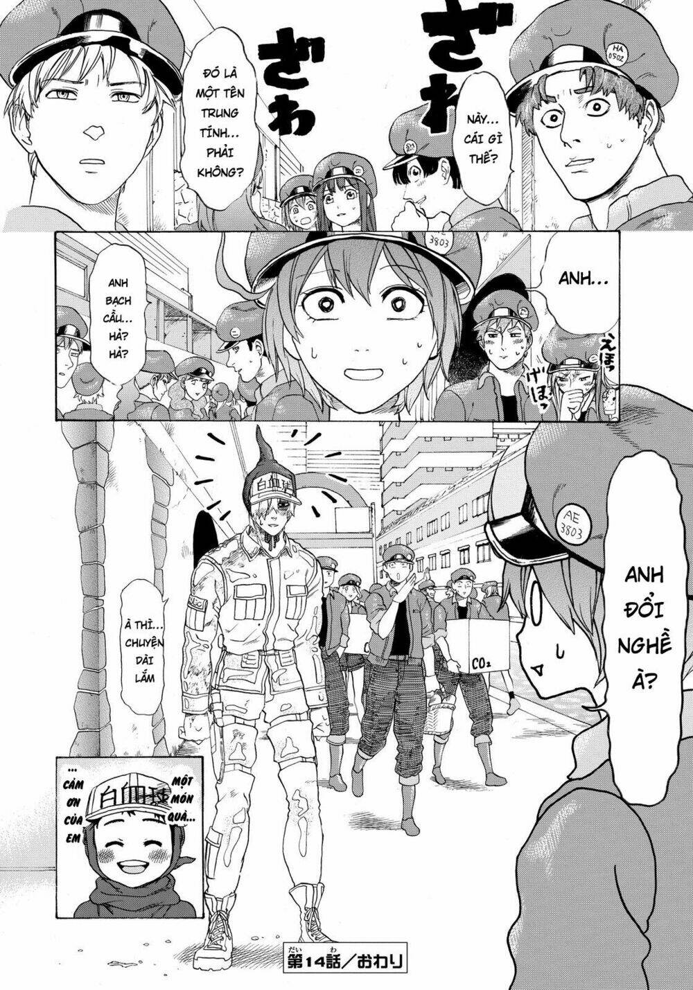 hataraku-saibou/29