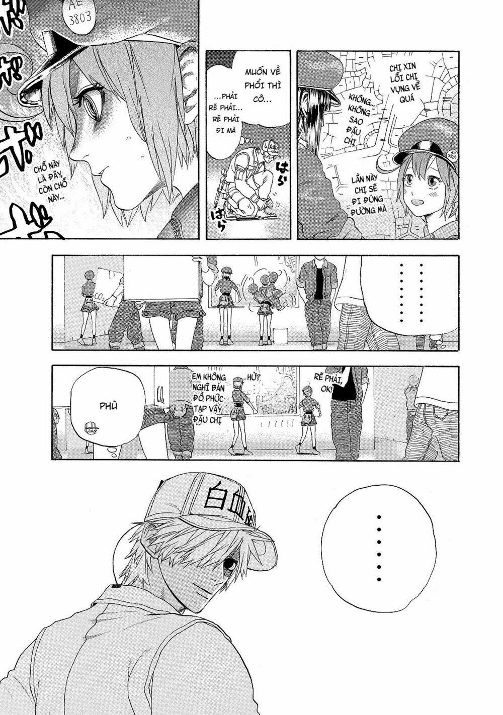 hataraku-saibou/11