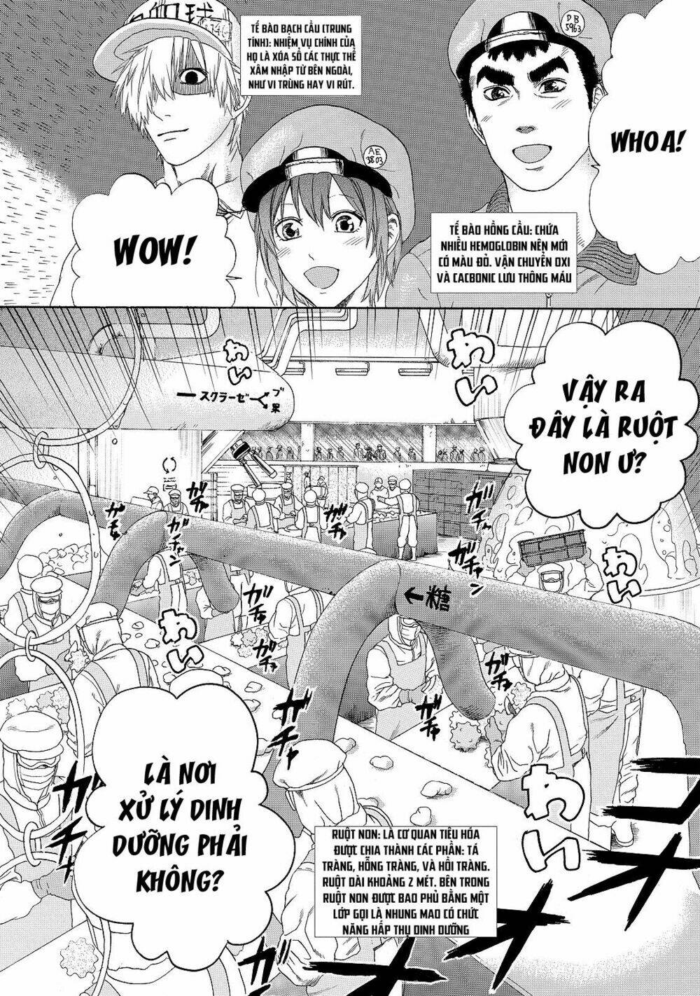 hataraku-saibou/1