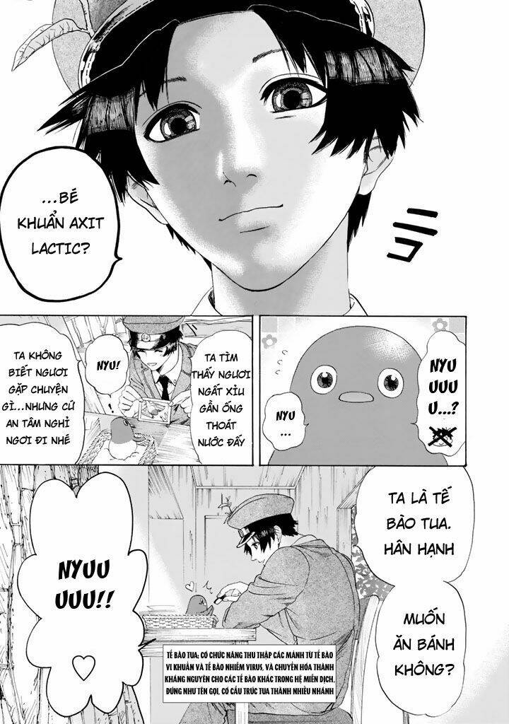 hataraku-saibou/16