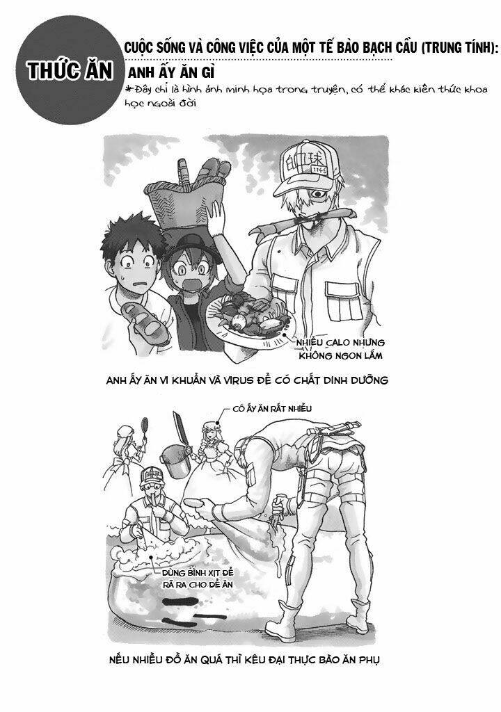 hataraku-saibou/28