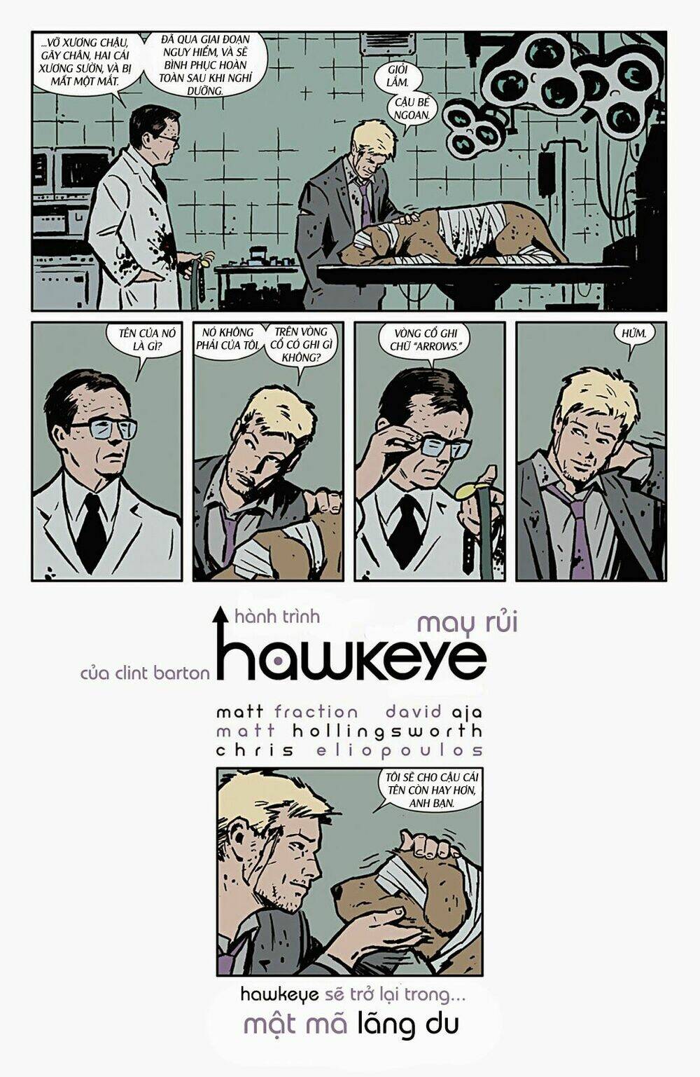 hawkeye-2012/21