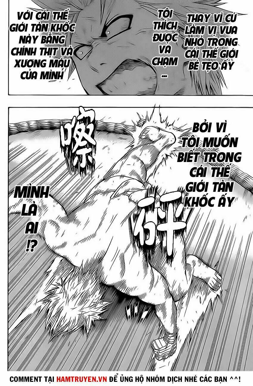 hinomaru-zumou/13