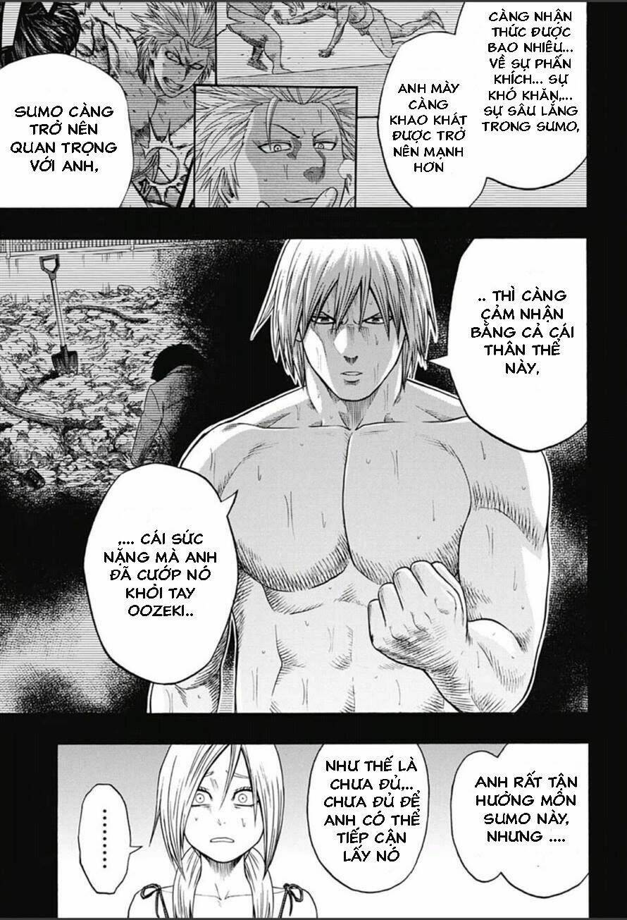 hinomaru-zumou/13