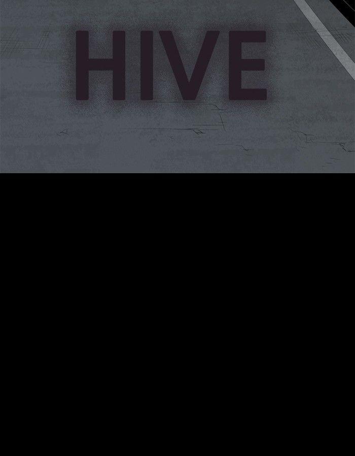 hive/3