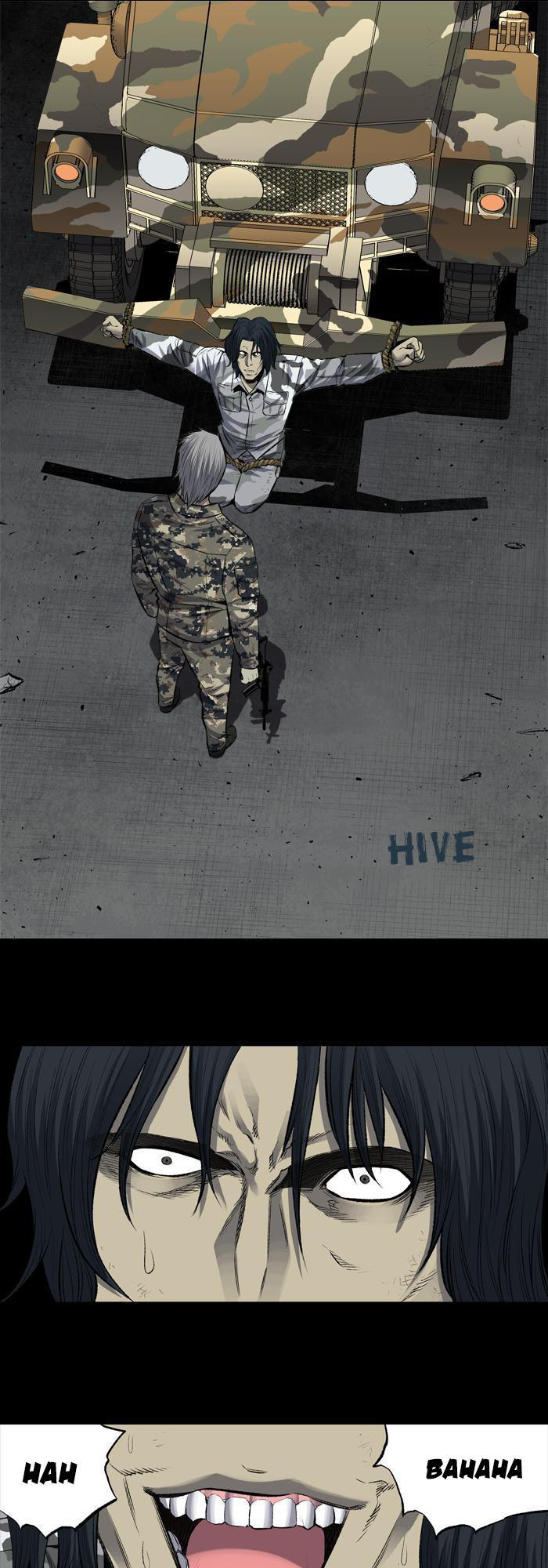 hive/2