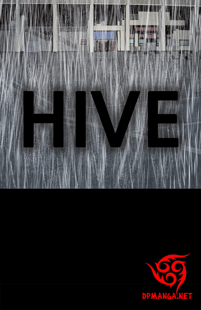 hive/1