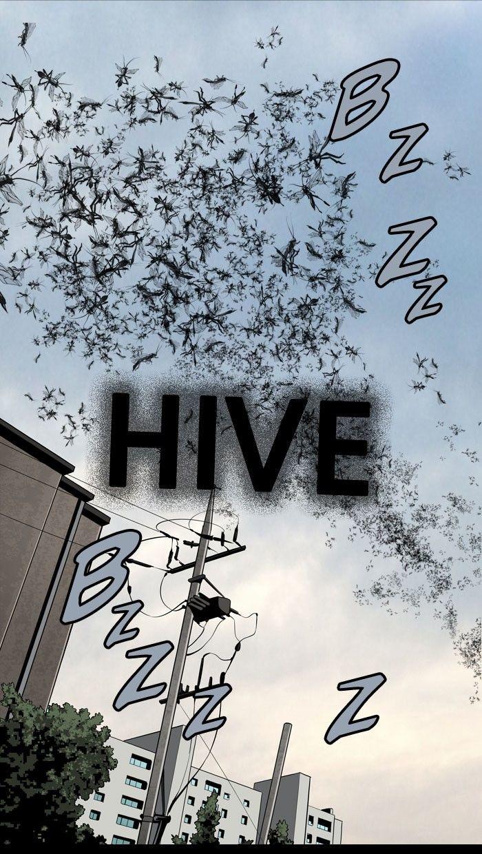 hive/2