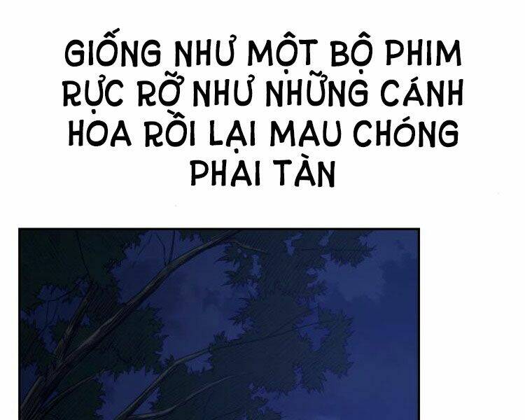 hoa-son-tai-xuat/241