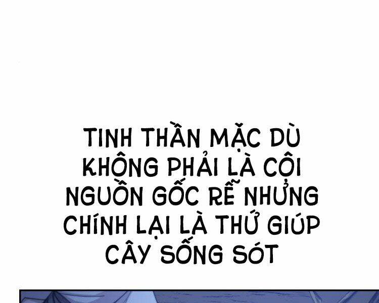 hoa-son-tai-xuat/243