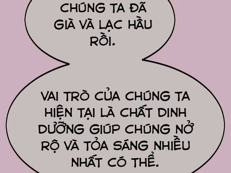 hoa-son-tai-xuat/263