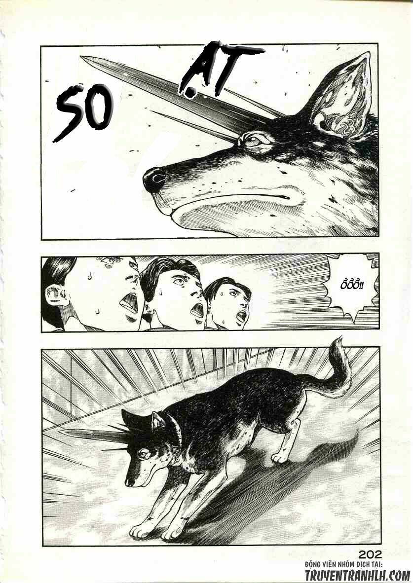 inugami/36