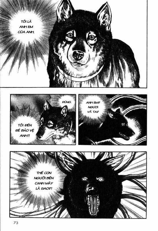 inugami/33