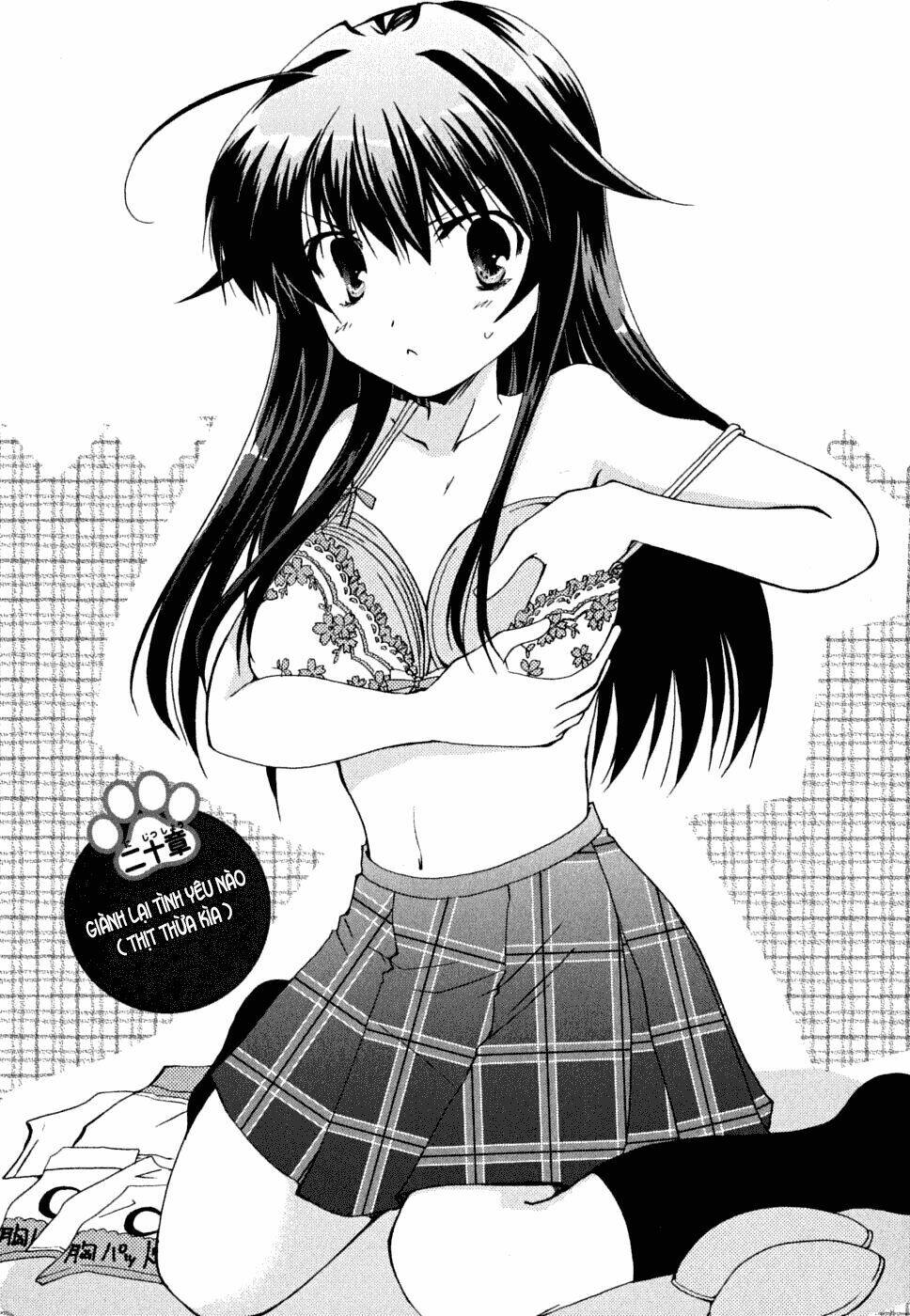 kanokon/6