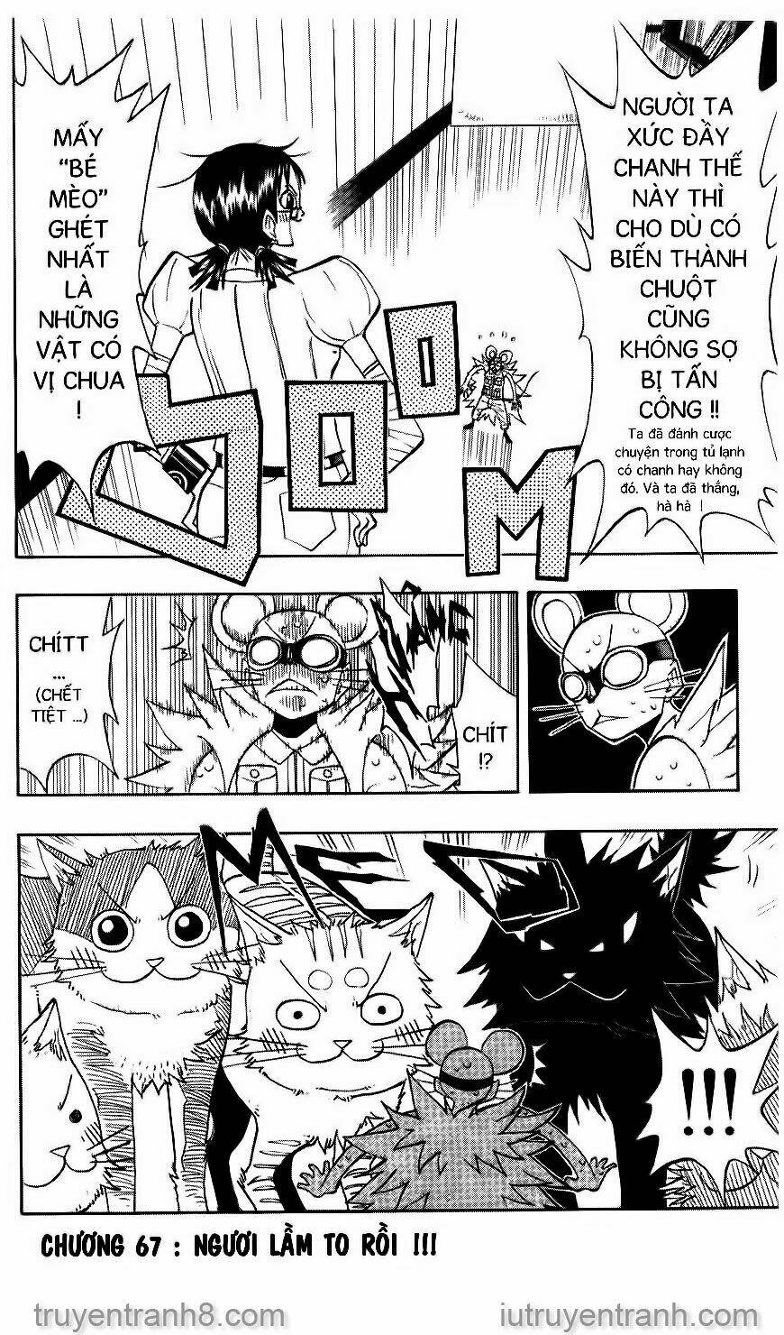 law-of-ueki/0